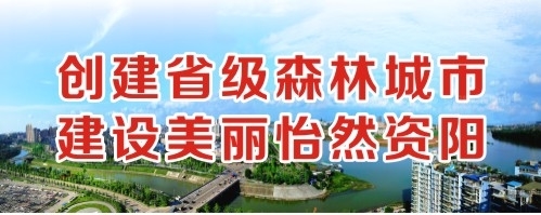 大鸡巴操操创建省级森林城市 建设美丽怡然资阳